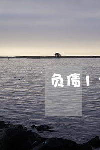 负债120万逾期怎么办 负债120万逾期怎么办