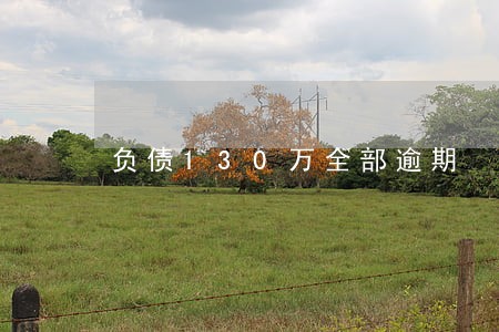 负债130万全部逾期 负债130万全部逾期