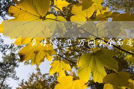 负债150万网贷全面逾期 负债150万网贷全面逾期