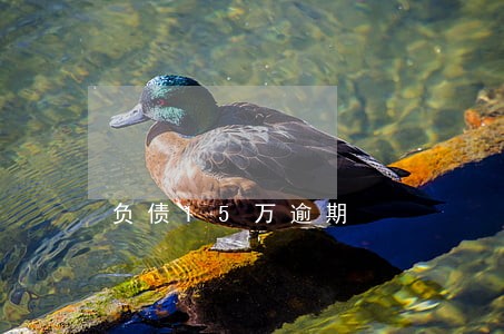 负债15万逾期 负债15万逾期
