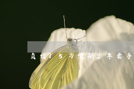 负债15万逾期2年要多少利息 负债15万逾期2年要多少利息
