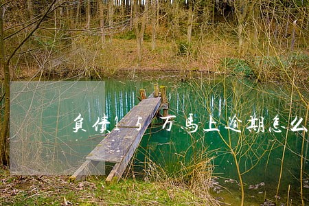 负债15万马上逾期怎么办 负债15万马上逾期怎么办