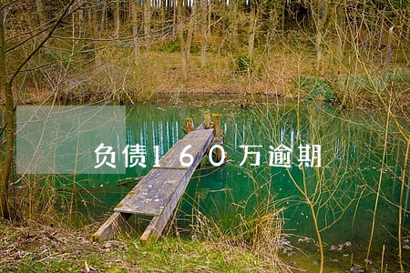 负债160万逾期 负债160万逾期