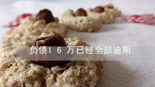 负债16万已经全部逾期 负债16万已经全部逾期