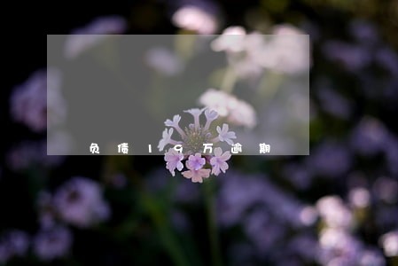 负债19万逾期 负债19万逾期