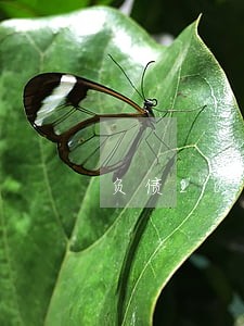 负债200万信用卡逾期 负债200万信用卡逾期