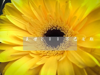 负债200万已逾期 负债200万已逾期