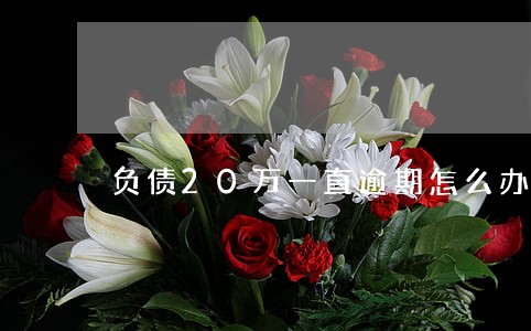 负债20万一直逾期怎么办