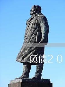 负债20万不想逾期要怎么办 负债20万不想逾期要怎么办
