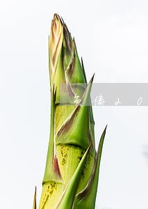 负债20万全面逾期 负债20万全面逾期