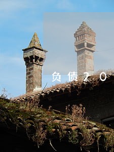 负债20万全面逾期该怎么办 负债20万全面逾期该怎么办