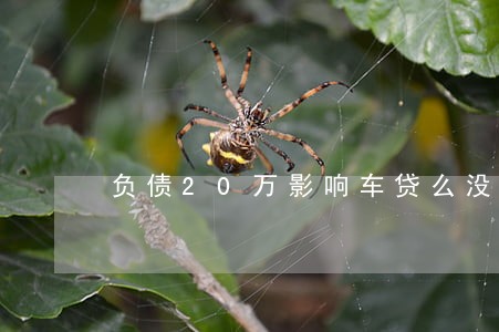负债20万影响车贷么没逾期 负债20万影响车贷么没逾期