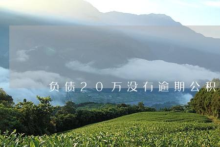 负债20万没有逾期公积金贷款 负债20万没有逾期公积金贷款