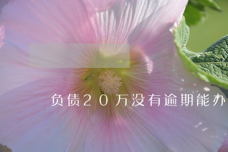 负债20万没有逾期能办车贷吗 负债20万没有逾期能办车贷吗