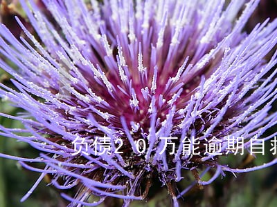 负债20万能逾期自救吗 负债20万能逾期自救吗