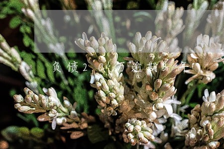 负债20万逾期3年 负债20万逾期3年