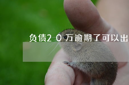 负债20万逾期了可以出国嘛 负债20万逾期了可以出国嘛