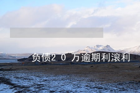 负债20万逾期利滚利 负债20万逾期利滚利