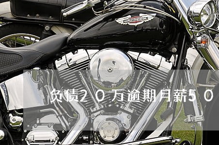 负债20万逾期月薪5000