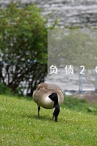 负债20万逾期精神崩溃