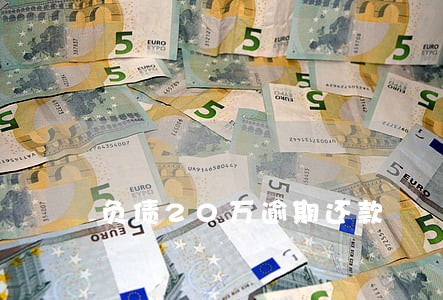 负债20万逾期还款 负债20万逾期还款