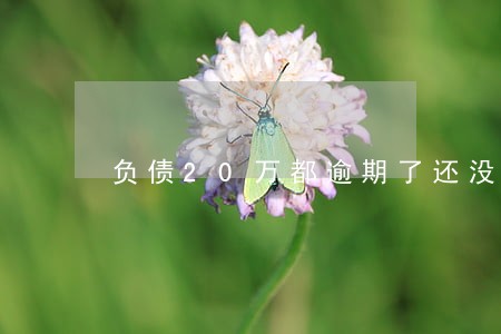 负债20万都逾期了还没工作 负债20万都逾期了还没工作