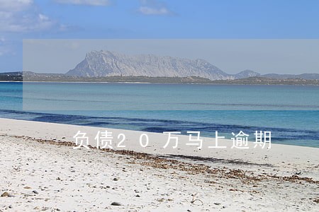 负债20万马上逾期 负债20万马上逾期