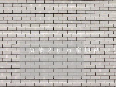 负债26万逾期两天怎么办 负债26万逾期两天怎么办