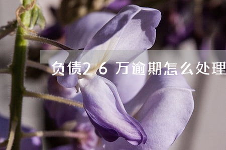 负债26万逾期怎么处理