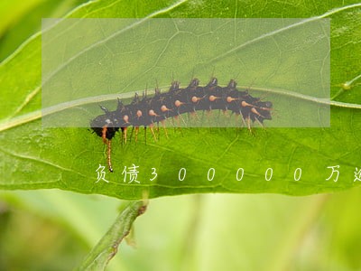 负债300000万逾期