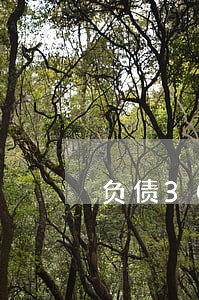 负债30万全面逾期爆发 负债30万全面逾期爆发