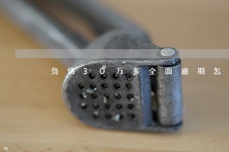 负债30万多全面逾期怎么办 负债30万多全面逾期怎么办