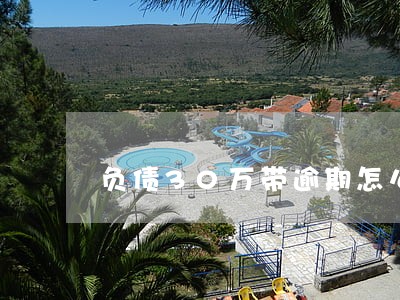 负债30万带逾期怎么借钱 负债30万带逾期怎么借钱
