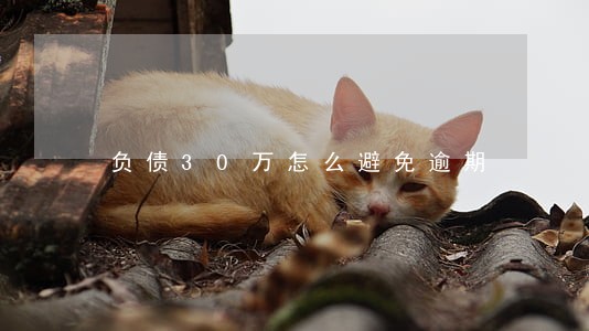 负债30万怎么避免逾期 负债30万怎么避免逾期