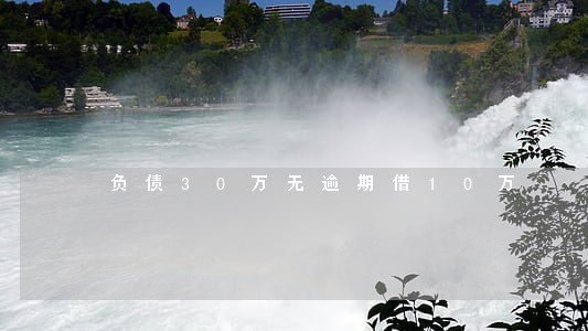 负债30万无逾期借10万