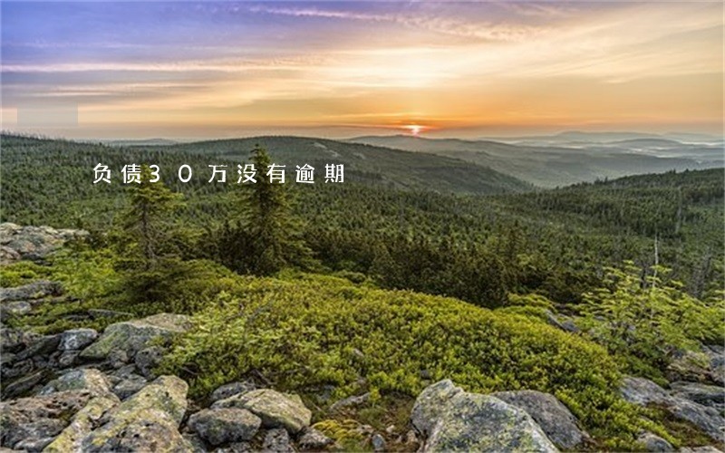 负债30万没有逾期 负债30万没有逾期