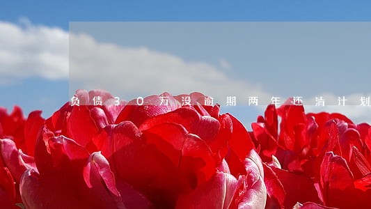 负债30万没逾期两年还清计划 负债30万没逾期两年还清计划