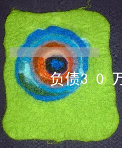 负债30万的网贷逾期 负债30万的网贷逾期