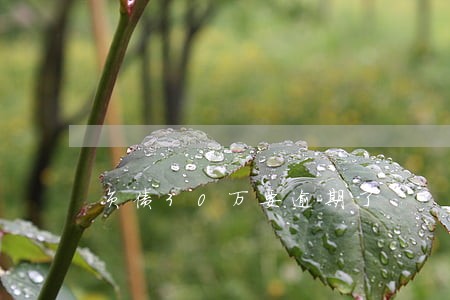 负债30万要逾期了 负债30万要逾期了