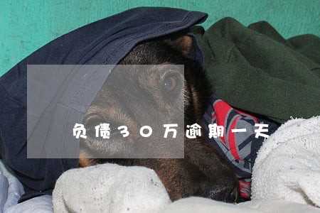 负债30万逾期一天 负债30万逾期一天