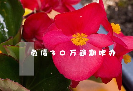 负债30万逾期咋办 负债30万逾期咋办
