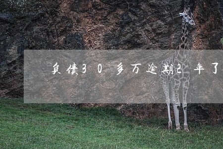 负债30多万逾期2年了 负债30多万逾期2年了