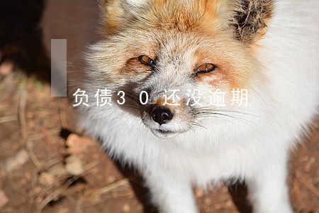负债30还没逾期 负债30还没逾期