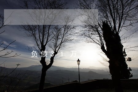 负债31万逾期 负债31万逾期