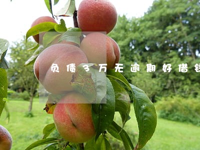 负债3万无逾期好借钱吗 负债3万无逾期好借钱吗