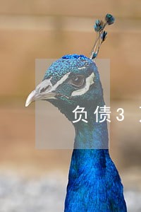 负债3万没逾期可以房贷吗 负债3万没逾期可以房贷吗