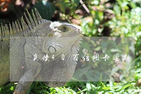 负债40万信用卡逾期 负债40万信用卡逾期