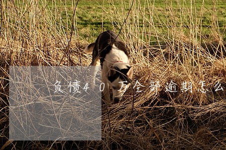 负债40万全部逾期怎么办 负债40万全部逾期怎么办