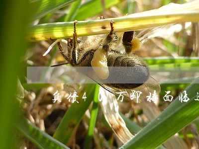 负债40万即将面临逾期 负债40万即将面临逾期