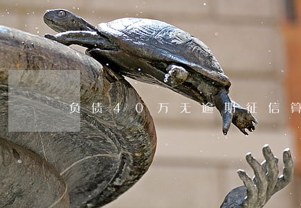 负债40万无逾期征信算好吗 负债40万无逾期征信算好吗